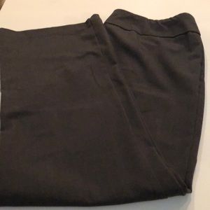 Dressbarn slacks size 12 SHORT